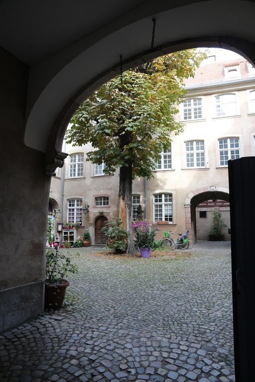 Les Dentelles - Appartement meublé design Petite France Estrasburgo Exterior foto